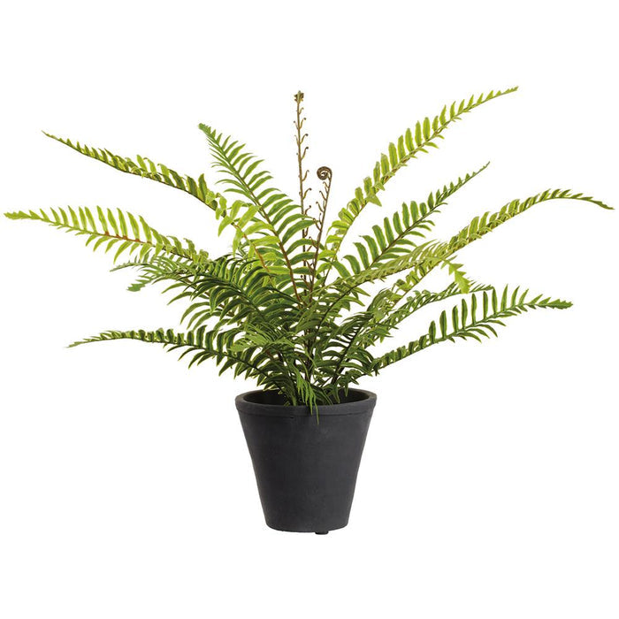16" Soft PE Boston Fern Plant in Cement Pot - Green
