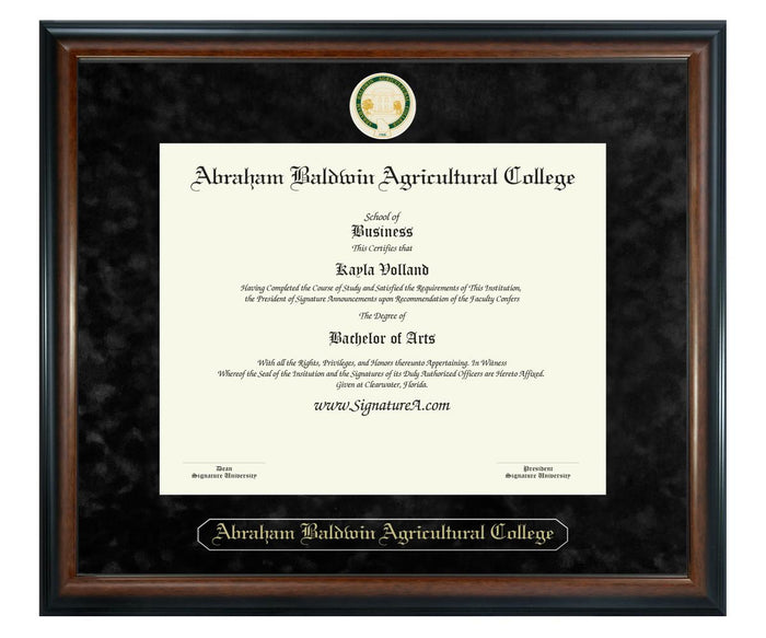 Abraham Baldwin Agricultural College Diploma Frame (SN)