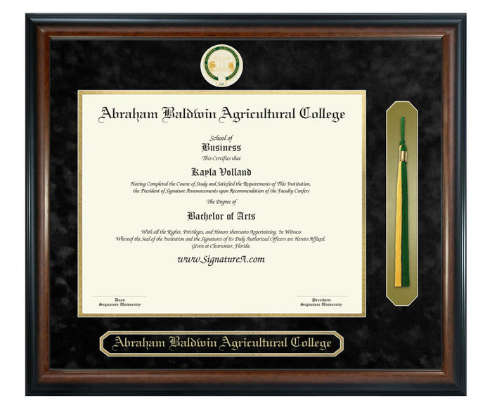 Abraham Baldwin Agricultural College Diploma Frame (SNT)