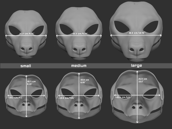 African wild dog - Head base
