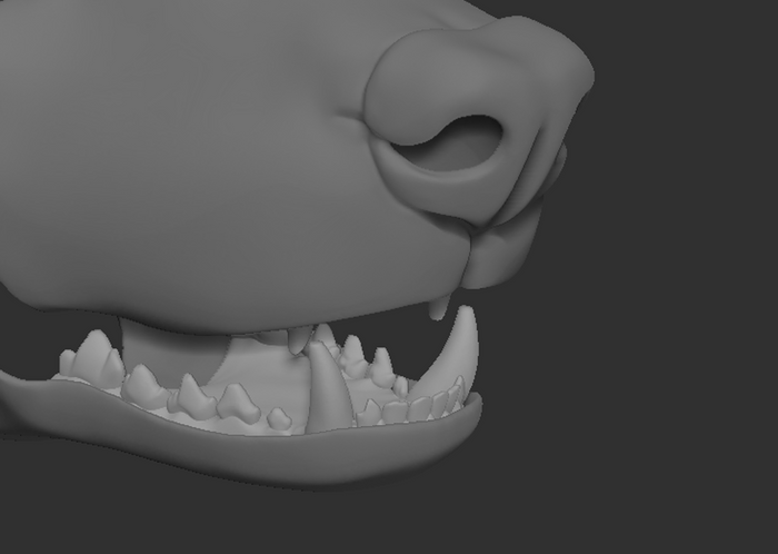 A 3D rendering of an african wild dog fursuit jawset with detailed teeth in a light grey color, showcasing fit in a fursuit base and shown against a dark grey background.