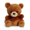 A brown teddy bear sitting upright on a plain white background.
