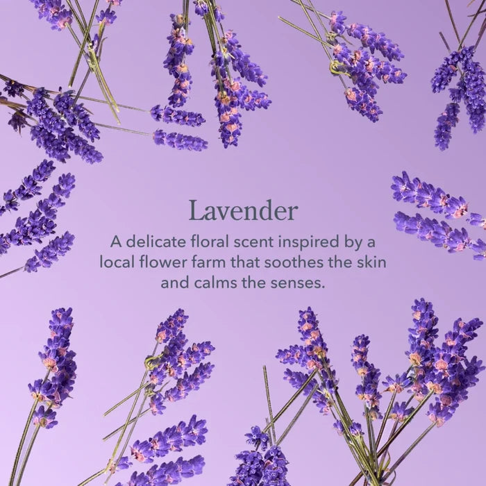 Lilac Dream offers a soothing lavender scent enriched with jasmine and rose petals, evoking a tranquil atmosphere.