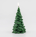 Beeswax Evergreen Tree