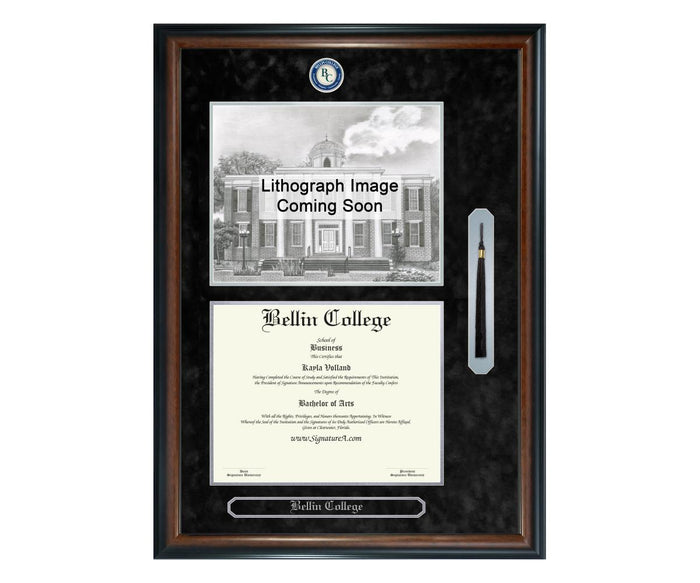 Bellin College Diploma Frame (SNTL)