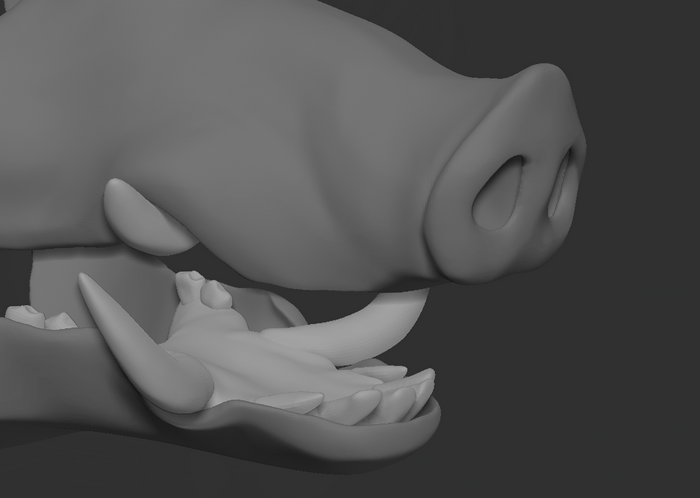 Boar - Jawset