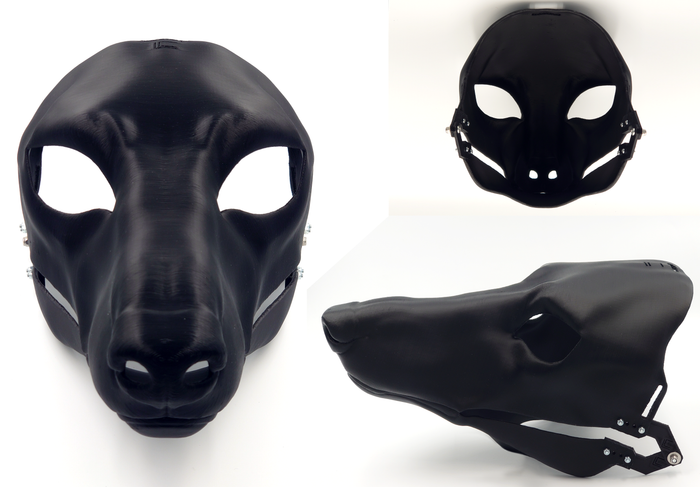Borzoi - Head base