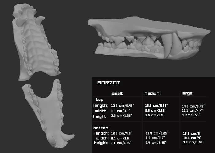 Borzoi - Jawset