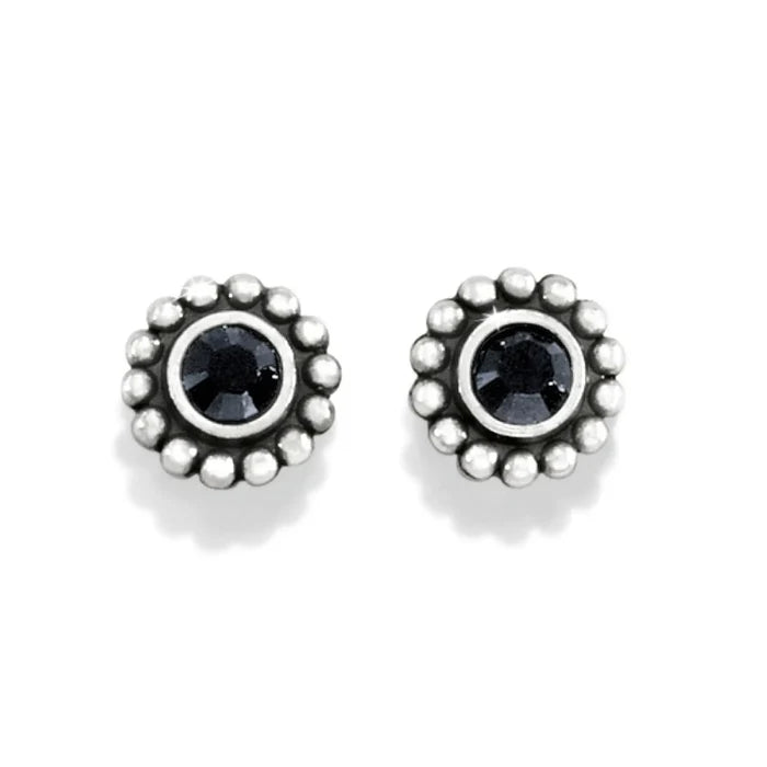 The Brighton Twinkle Mini Post Earrings in Black bring a subtle, sophisticated sparkle to every look.
