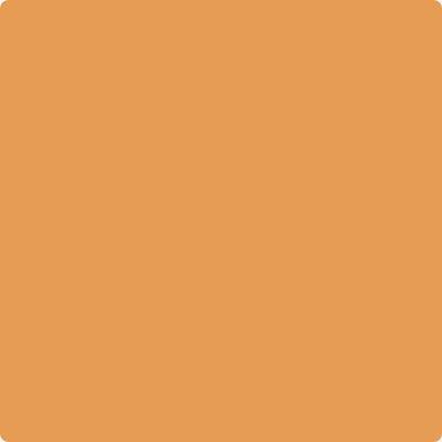 Shop the paint color 161 Brilliant Amber by Benjamin Moore at Anderson Paint Company in Ann Arbor, Michigan.