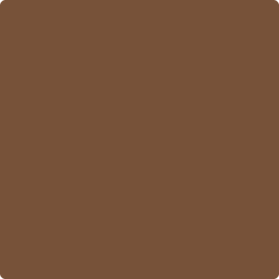 Shop the paint color 2164-10 Saddle Brown by Benjamin Moore at Anderson Paint Company in Ann Arbor, Michigan.