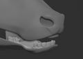 A 3D rendering of a cow fursuit jawset with detailed teeth in a light grey color, showcasing fit in a fursuit base and shown against a dark grey background.