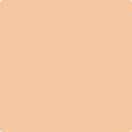 Shop the paint color 2166-50 Creamy Orange by Benjamin Moore at Anderson Paint Company in Ann Arbor, Michigan.