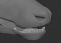 Deer - Jawset