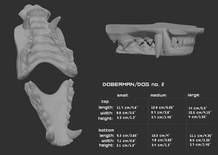 Doberman - Jawset