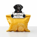 This E & S Pets Labrador Black Chip Clip combines everyday kitchen convenience with a fun Labrador-inspired design.