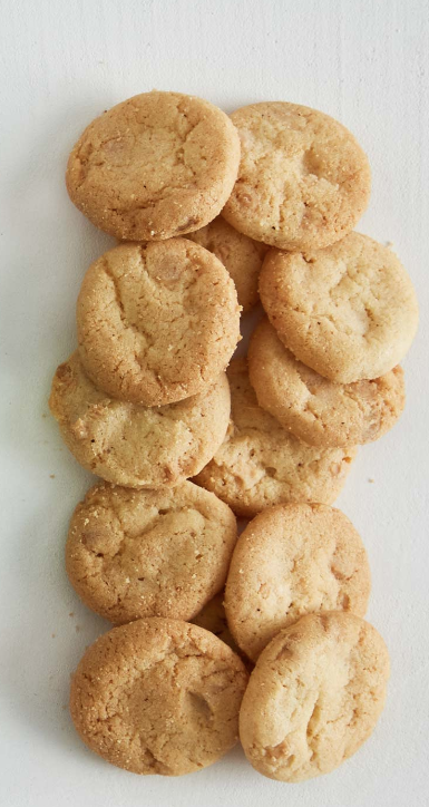 Egg Nog Cookies (12 Boxes) Christmas