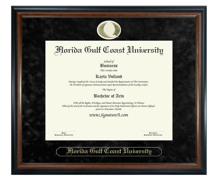 Florida Gulf Coast University Diploma Frame (SN)