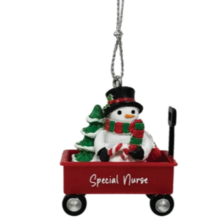 This Ganz Special Nurse Christmas Ornament is a thoughtful keepsake that honors the care and dedication of nurses.
