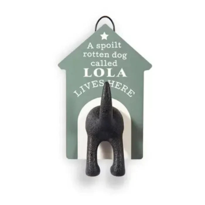 Personalised Dog Lead Storage Hook featuring the name Lola for organizing dog leads, collars, and pet walking accessories.