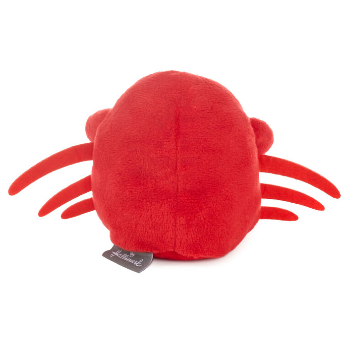 Crab gift card holder from Annies Hallmark