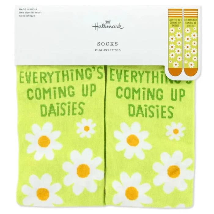 Pair of socks with daisy design and 'Everything's Coming Up Daisies' text, branded as Hallmark.