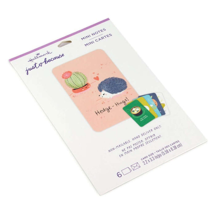 Pack of Hallmark mini cards with hedgehog and cactus design on a white background
