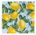 Lemon Paper Napkins | 20 Pack | Summer Napkins |