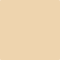 Shop the paint color 2165-50 Natural Sand by Benjamin Moore at Anderson Paint Company in Ann Arbor, Michigan.