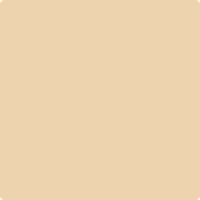 Shop the paint color 2165-50 Natural Sand by Benjamin Moore at Anderson Paint Company in Ann Arbor, Michigan.