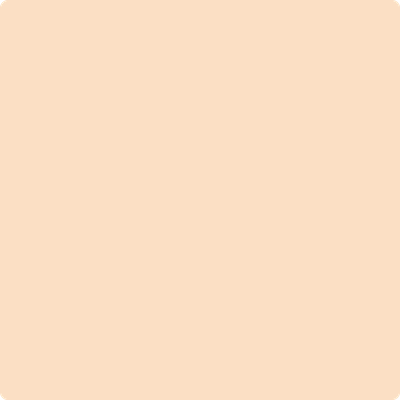 Shop the paint color 2166-60 Pale Oats by Benjamin Moore at Anderson Paint Company in Ann Arbor, Michigan.