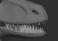 Raptor, dromaeosaurus - Jawset