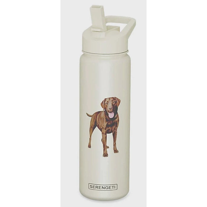 "Serengeti Chocolate Labrador 24 oz Water Bottle - Serengeti Chocolate Labrador 24 oz Water Bottle"