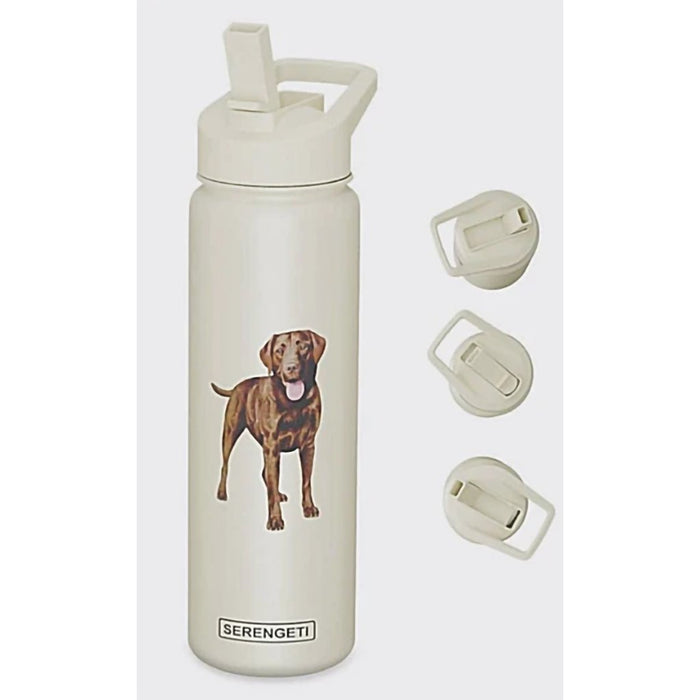 "Serengeti Chocolate Labrador 24 oz Water Bottle - Serengeti Chocolate Labrador 24 oz Water Bottle"