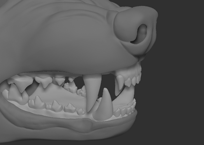 Snarly wolf - Jawset