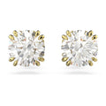 Swarovski - Earrings -  Gold - swarovski near me - swarovski jewelry - swarovski earrings - Gifts for her - gift shop