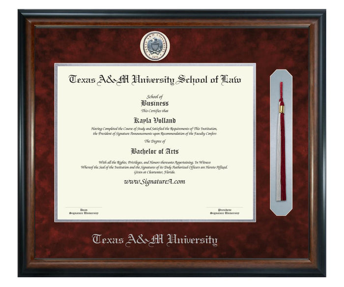Texas A&M University School of Law Diploma Frame (SNT)