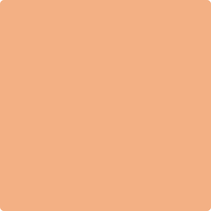Shop the paint color 2167-40 Toffee Orange by Benjamin Moore at Anderson Paint Company in Ann Arbor, Michigan.