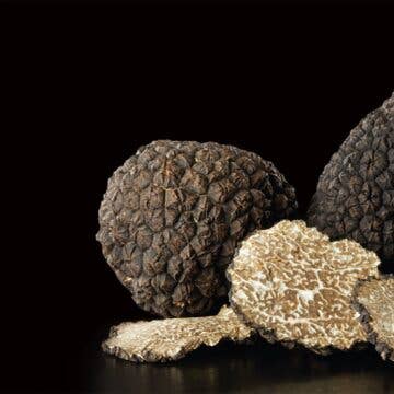 Truffle Sauce-Large Jar by Giuliano Tartufi