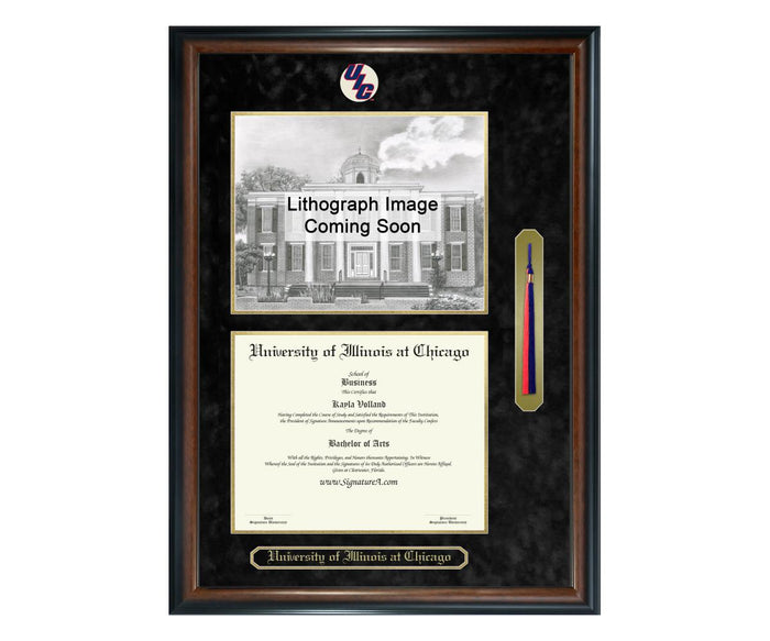 University of Illinois at Chicago Diploma Frame (SNTL)