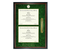 University of South Florida College of Medicine Diploma Frame (DSNT)