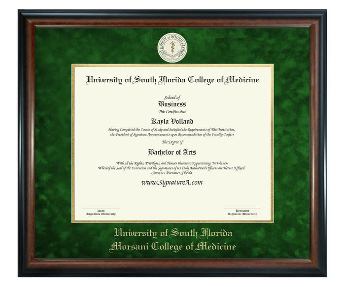 University of South Florida College of Medicine Diploma Frame (SN)