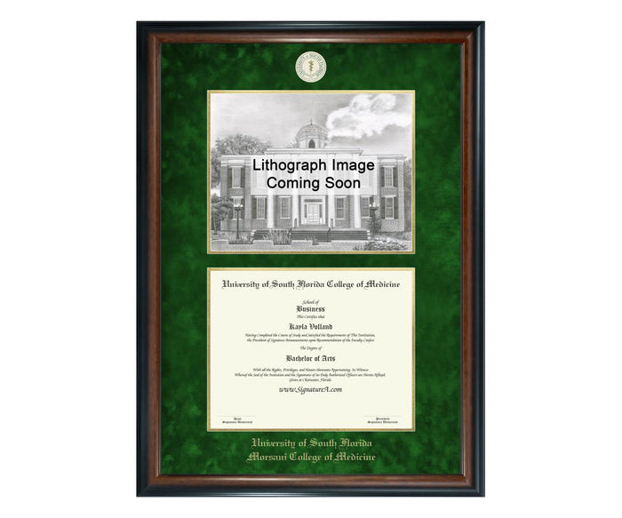 University of South Florida College of Medicine Diploma Frame (SNL)