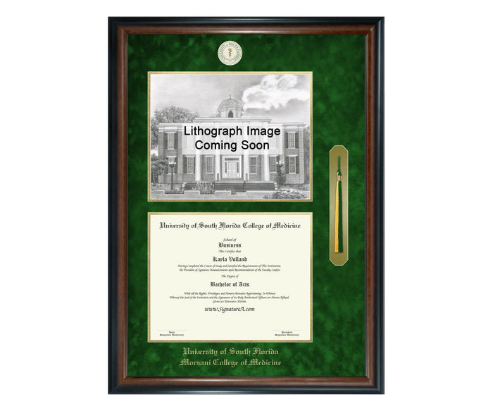 University of South Florida College of Medicine Diploma Frame (SNTL)
