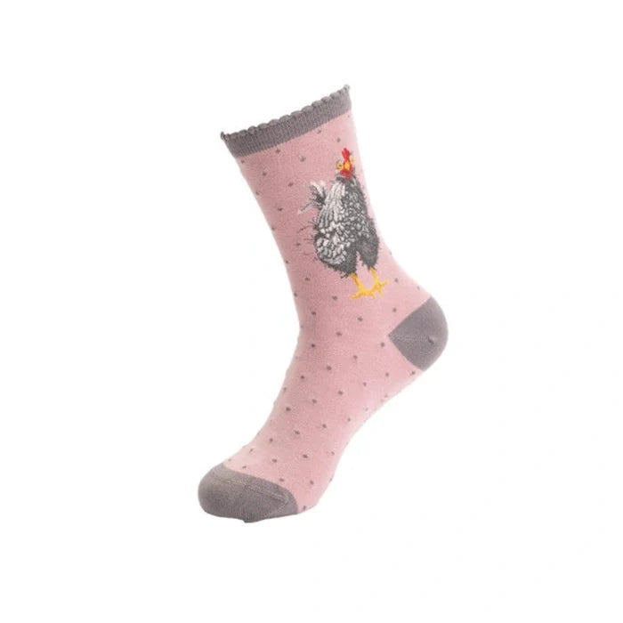 Wrendale Designs Curious Hen Chicken Socks featuring a charming hen design